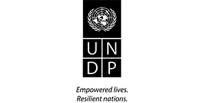 UNDP (1)